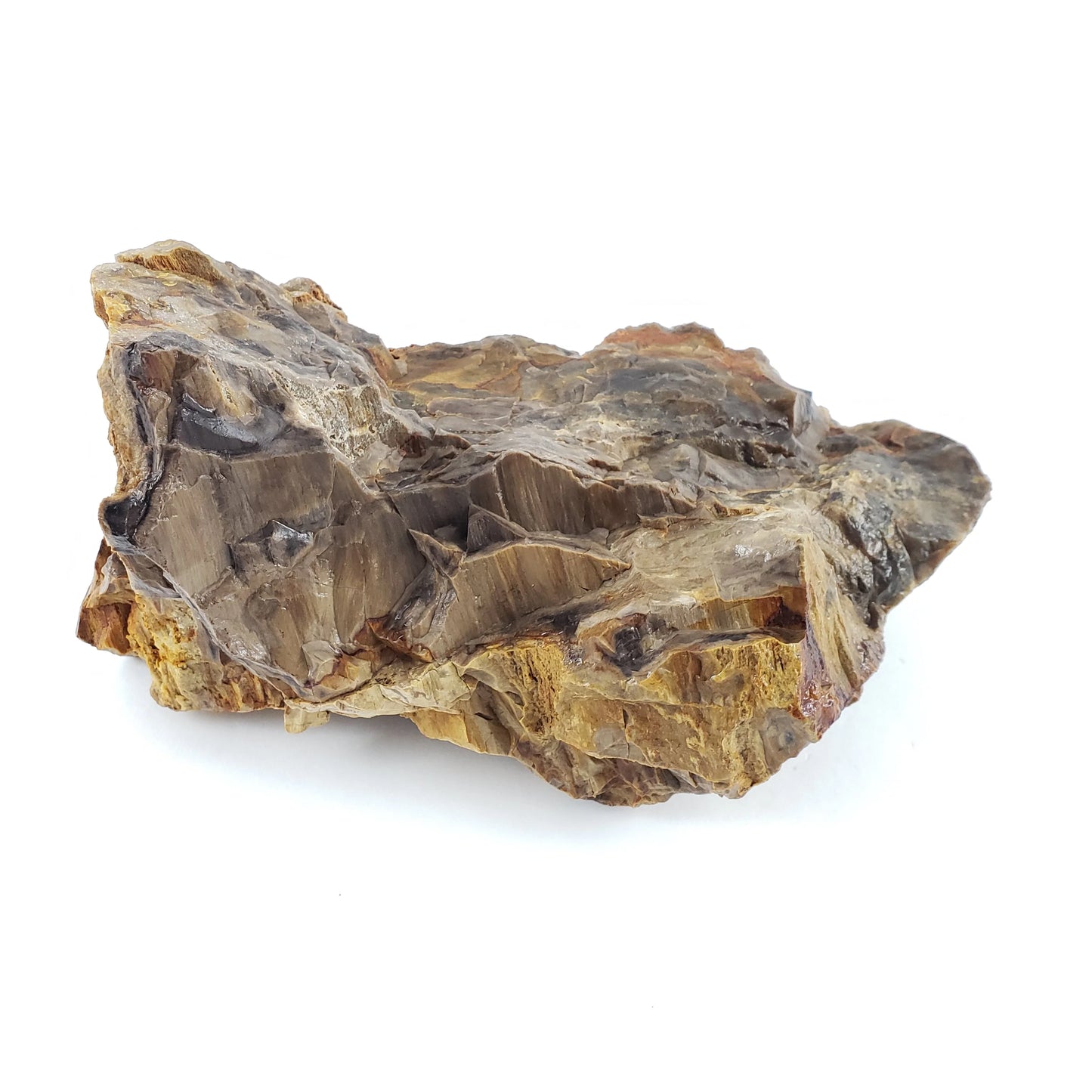 Canyon Petrified Stone 15 Lbs of Small and Medium Size Mix Case