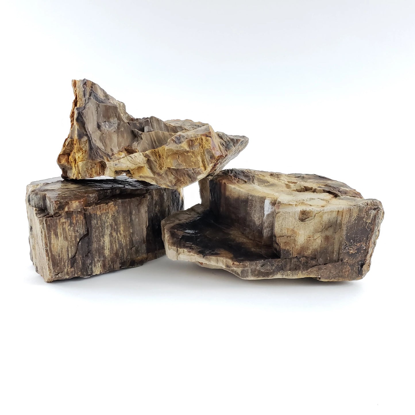 Canyon Petrified Stone 15 Lbs of Small and Medium Size Mix Case