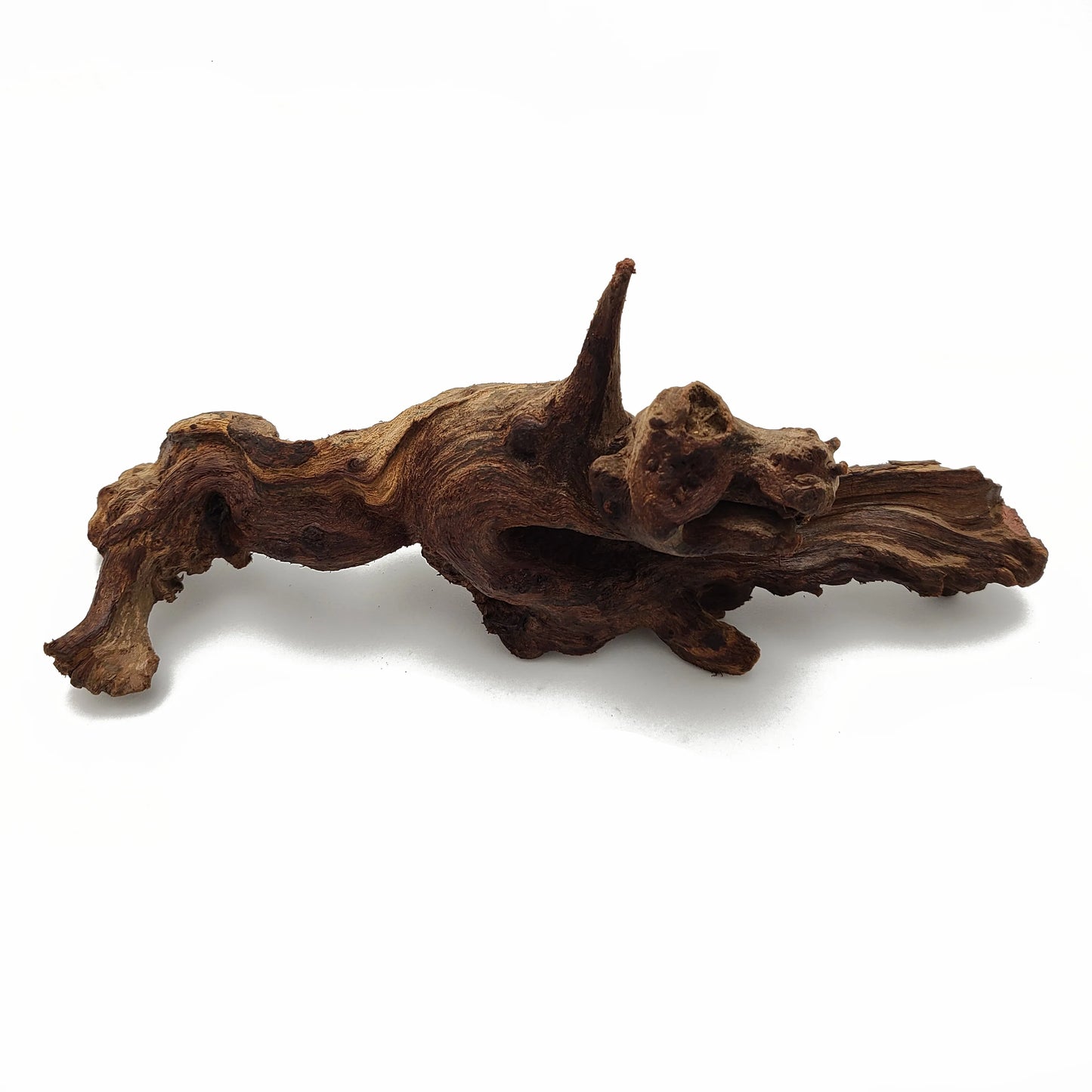 Aquascaping Heavy Drift Wood 8" to 12"