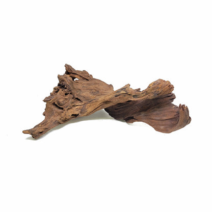 Aquascaping Malaysian Driftwood 12" to 20"