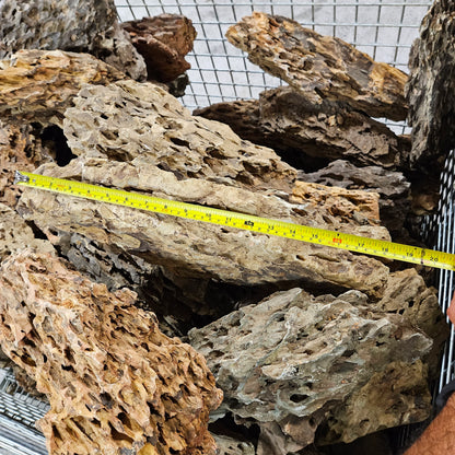 DNS Dragon Ohko Aquascaping Rock X Large 14" to 18" Size Rocks