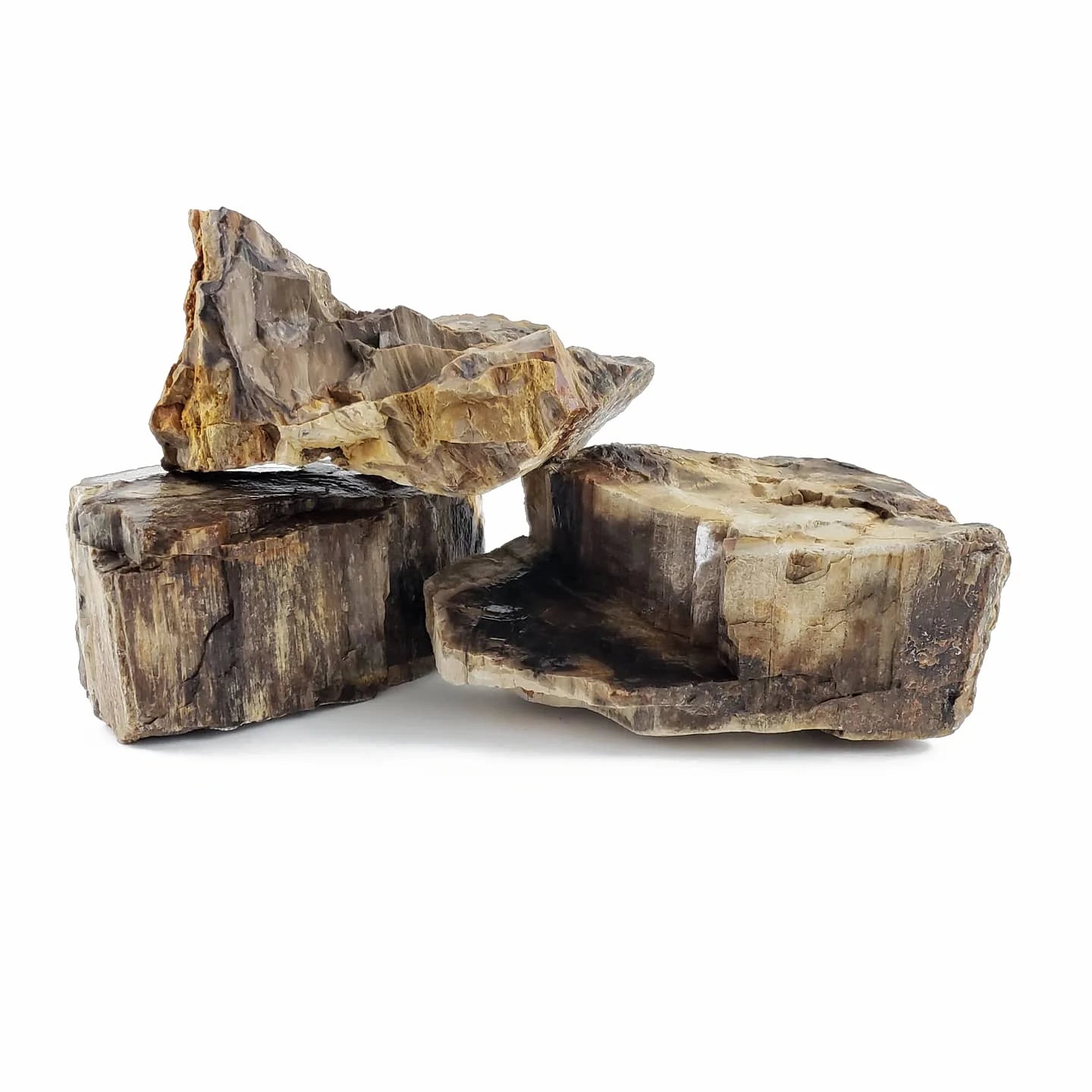 Canyon Petrified Stone - 44 Lbs box of MEDIUM size stones