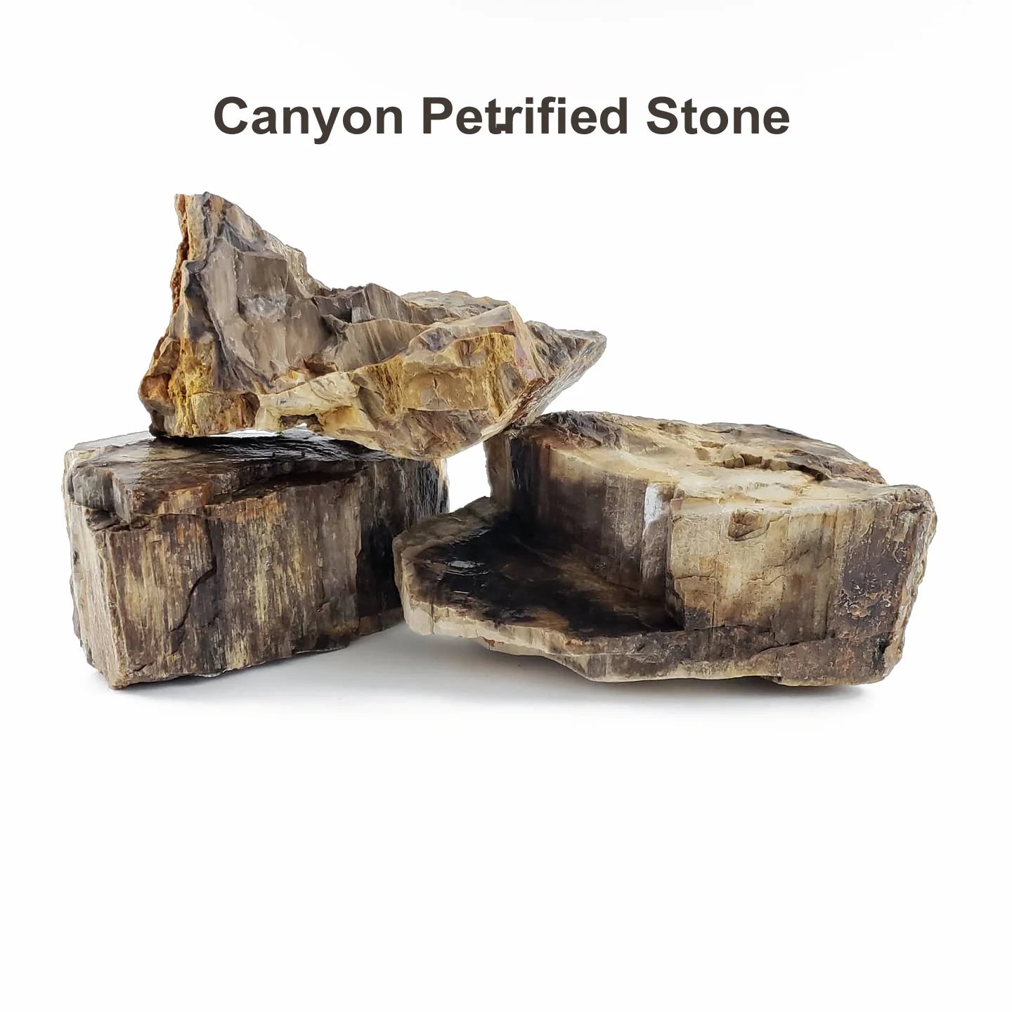 Canyon Petrified Stone - 44 Lbs box of SMALL size stones