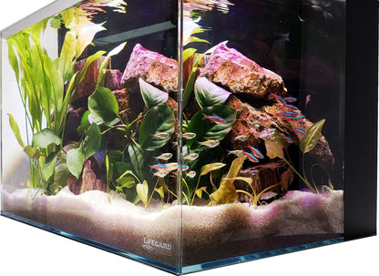 CRYSTAL 45 Degree Low Iron Ultra Clear Aquarium with Built in Back Filter 24 gallons