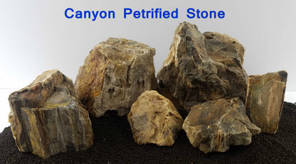 Canyon Petrified Stone 15 Lbs of Small and Medium Size Mix Case