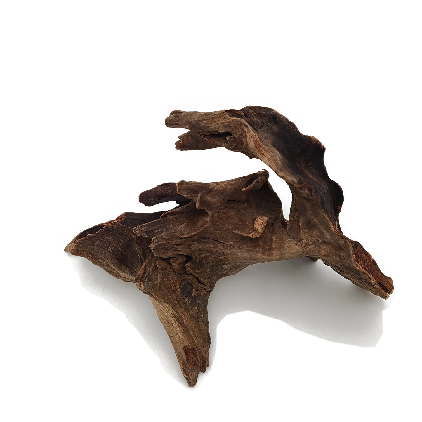 Drift Wood-Approximate Size 5"-8"