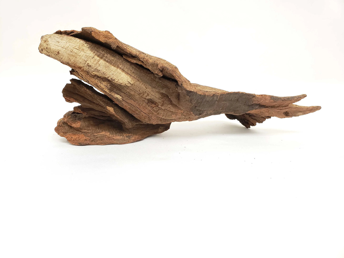 Drift Wood-Approximate Size 5"-8"