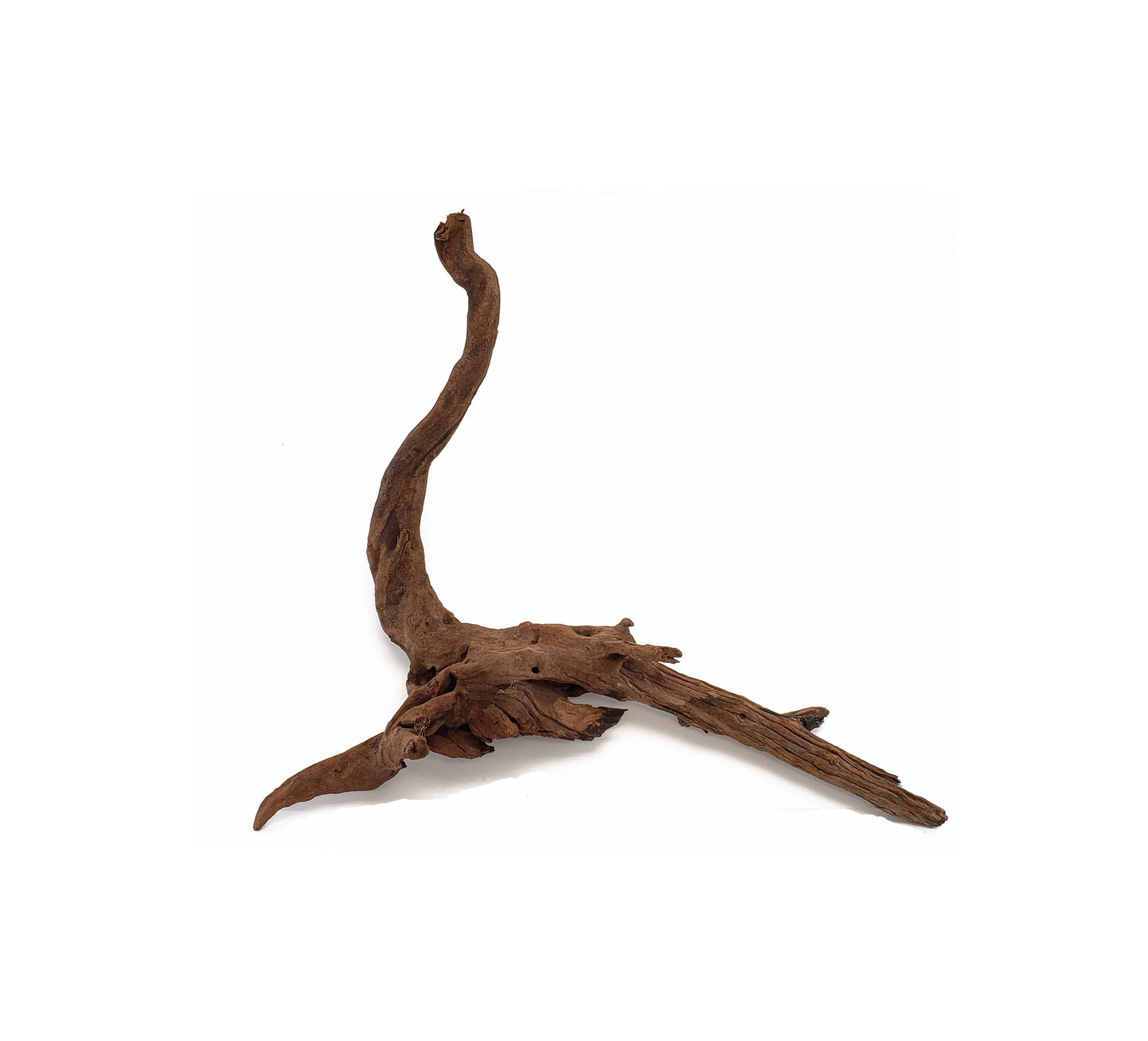 Aquascaping Heavy Drift Wood 8" to 12"