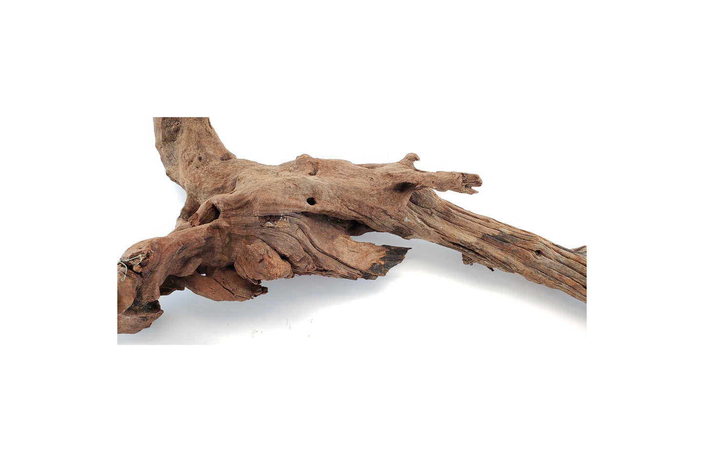 Aquascaping Heavy Drift Wood 8" to 12"