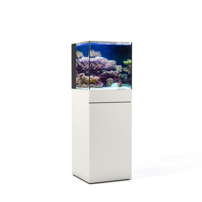 25G AIO - STARTER KIT - AQUARIUM + WHT STAND