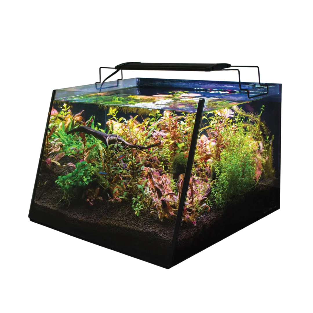 Lifegard Full-View 5 Gallon Aquarium with Built-In Back Filter LED Light Kit