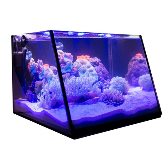 Lifegard Full-View 7 Gallon Aquarium with LED Light and Submersible Filter