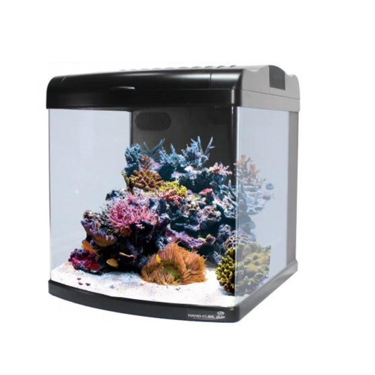 24G DX NANO-CUBE™24G BIOTOPE (36W*2)