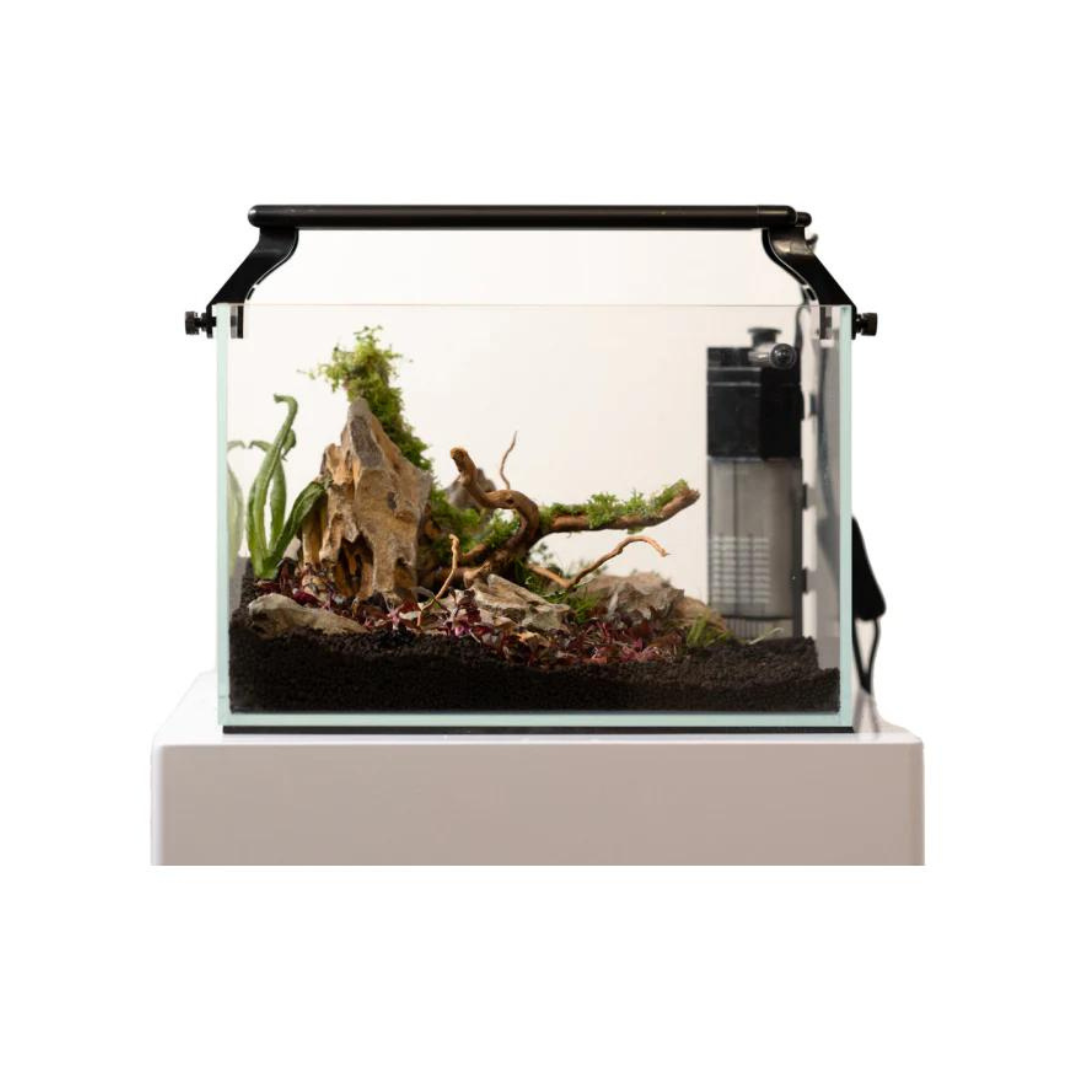 10g Aquazen Aquarium Kit - Tank+Filter+Light