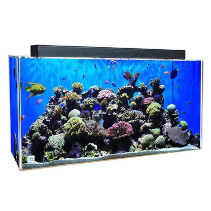 Clear for Life Rectangle 135 Gallon Acrylic Aquarium - Fresh or Saltwater