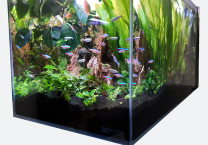 CRYSTAL 45 Degree Low Iron Ultra Clear Aquarium with Built in Side Filter 14.26 gallons