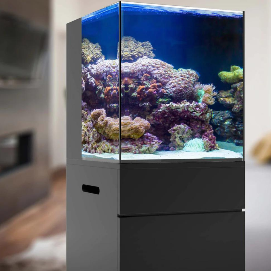 20 Gallon Nanocube Cubey Black