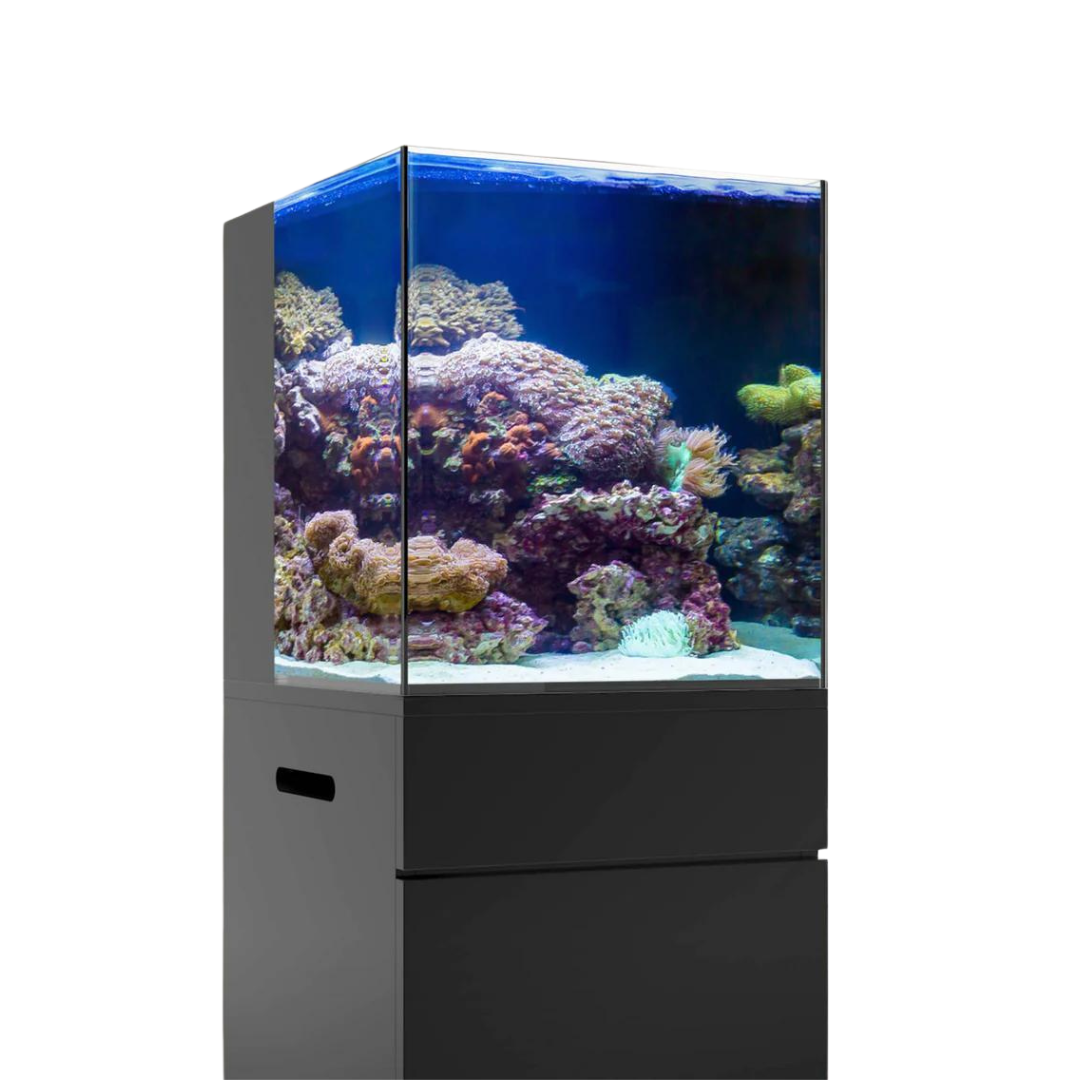 20 Gallon Nanocube Cubey Black