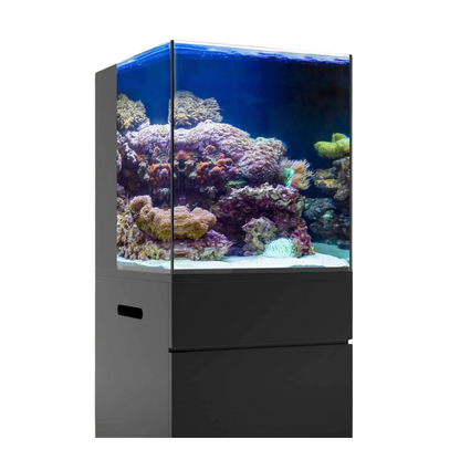 20 Gallon Nanocube Cubey Black