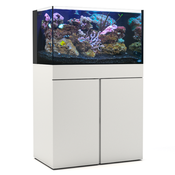 65G AIO - STARTER KIT - AQUARIUM + WHT STAND